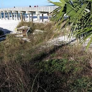 Meet your Posher, Freddie